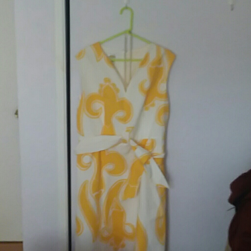 Fleur-de-lis Talbots dress (16)